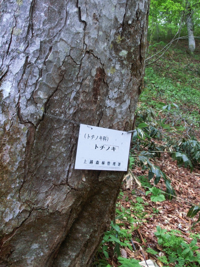 no2.jpg