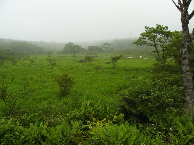 no2.jpg