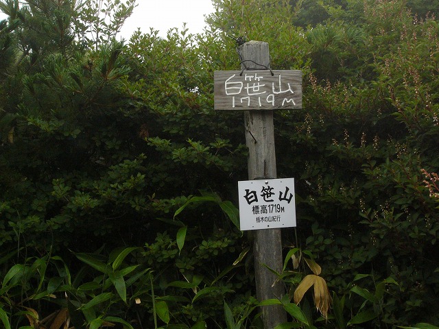 no2.jpg