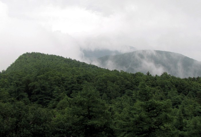 no2.jpg