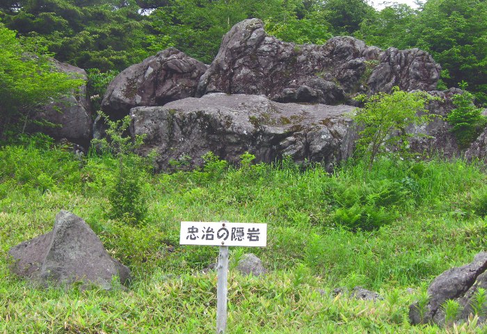 no2.jpg