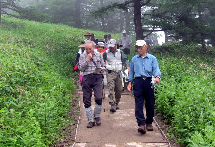no2.jpg