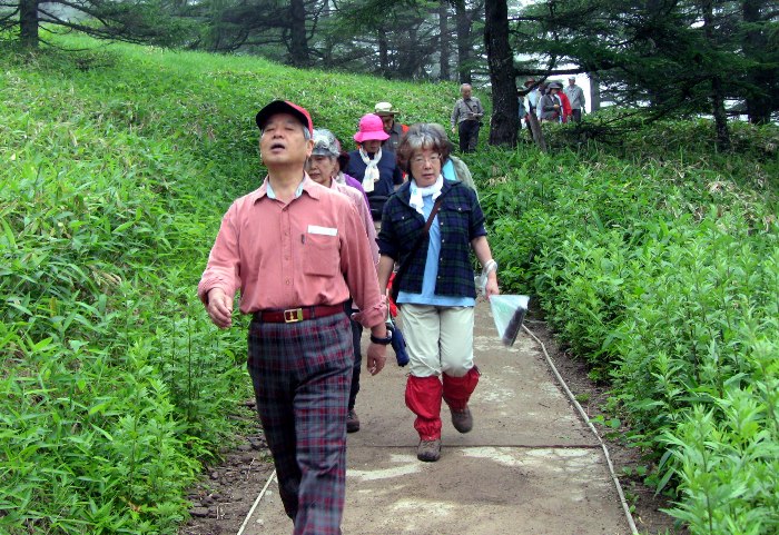 no2.jpg