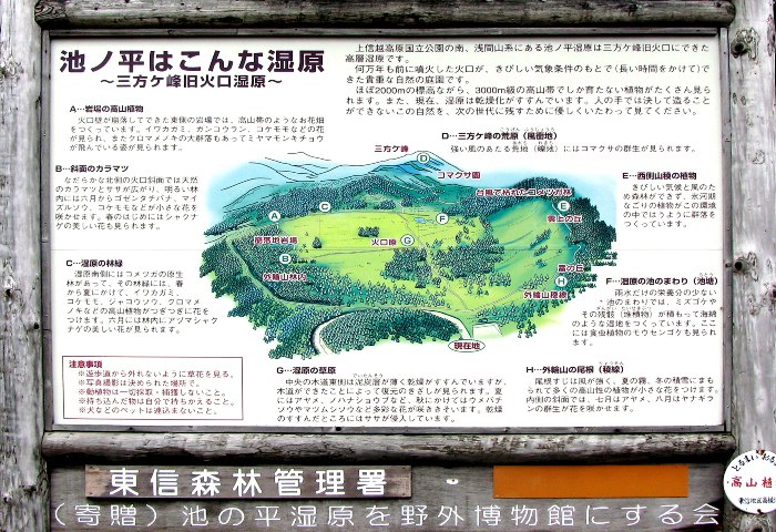 no2.jpg