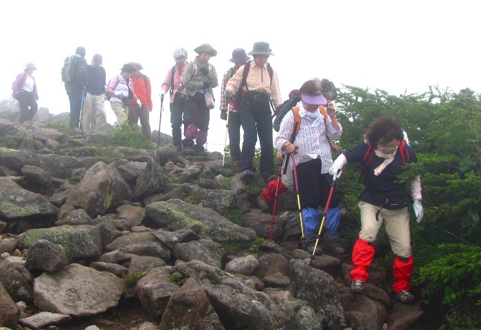 no2.jpg