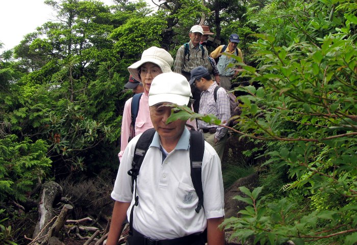 no2.jpg