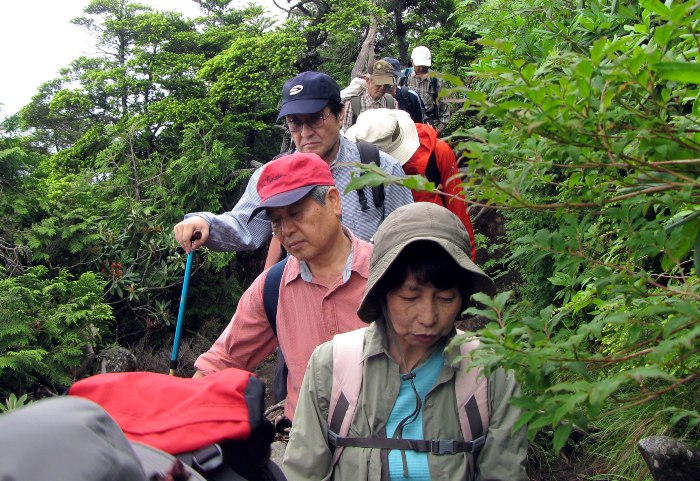 no2.jpg