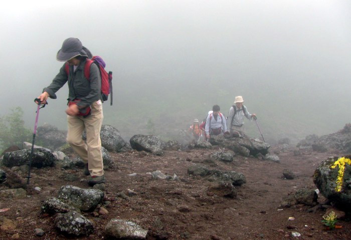no2.jpg