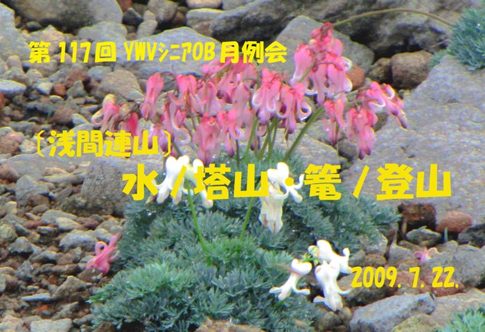no2.jpg